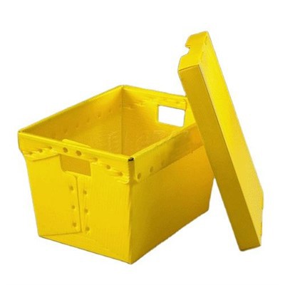 Kaxxa li Tiċċaqlaq Korrugata PP tal-plastik