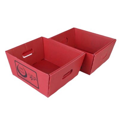 Tray Postali